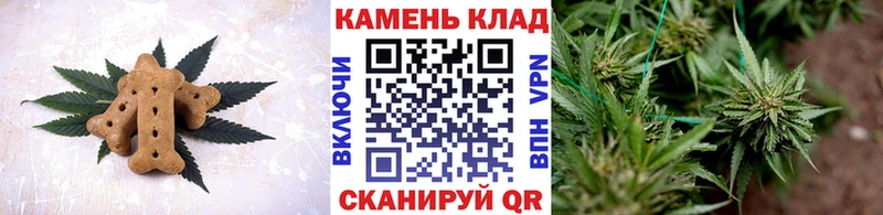 Cannafood конопля Москва