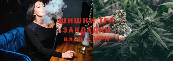 прущие грибы Волосово