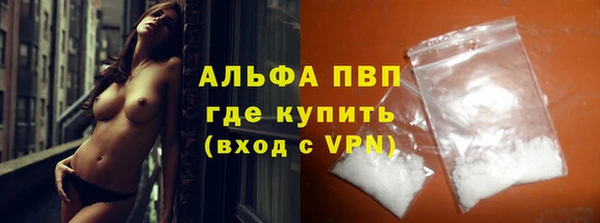 прущие грибы Волосово