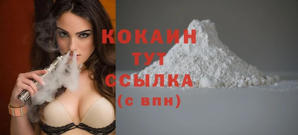 прущие грибы Волосово